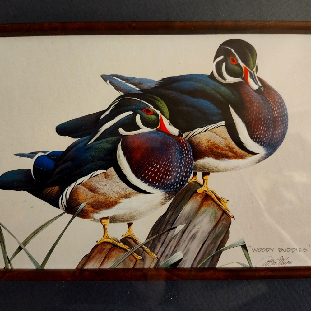 Art Lamay signed picture
